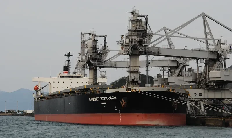 MAIZURU BISHAMON Bulk Carrier IMO 9570395