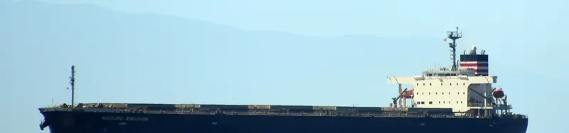 MAIZURU BISHAMON Bulk Carrier IMO 9570395 photo 5