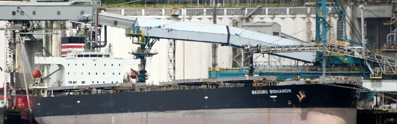 MAIZURU BISHAMON Bulk Carrier IMO 9570395 photo 9