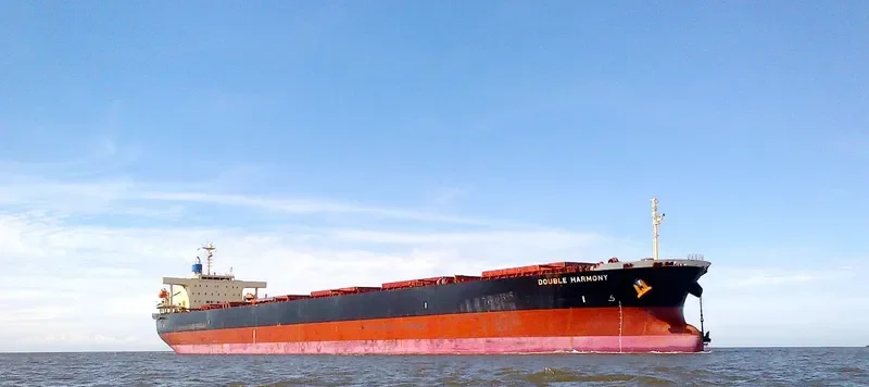 DOUBLE HARMONY Bulk Carrier IMO 9570400 photo 7