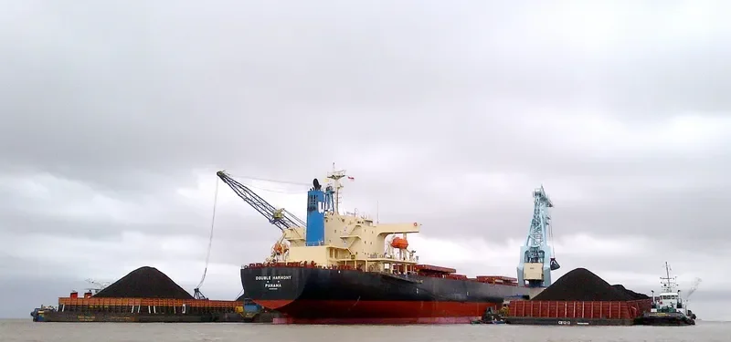 DOUBLE HARMONY Bulk Carrier IMO 9570400 photo 9