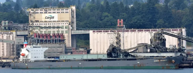 SUNRISE SERENITY Bulk Carrier IMO 9570462