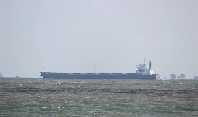 SUNRISE SERENITY Bulk Carrier IMO 9570462 photo 9