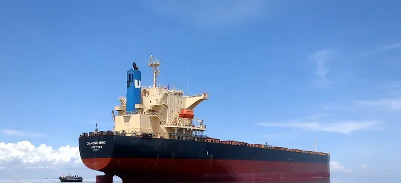 DIAMOND WIND Bulk Carrier IMO 9570474 photo 4