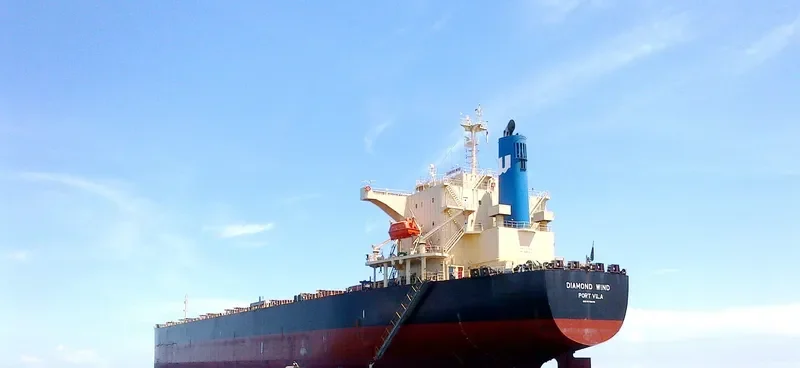 DIAMOND WIND Bulk Carrier IMO 9570474 photo 5