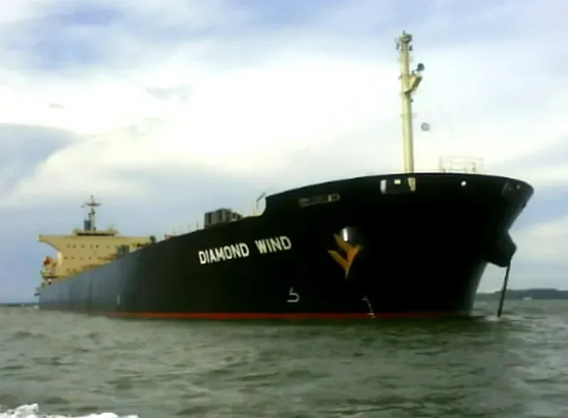 DIAMOND WIND Bulk Carrier IMO 9570474 photo 7