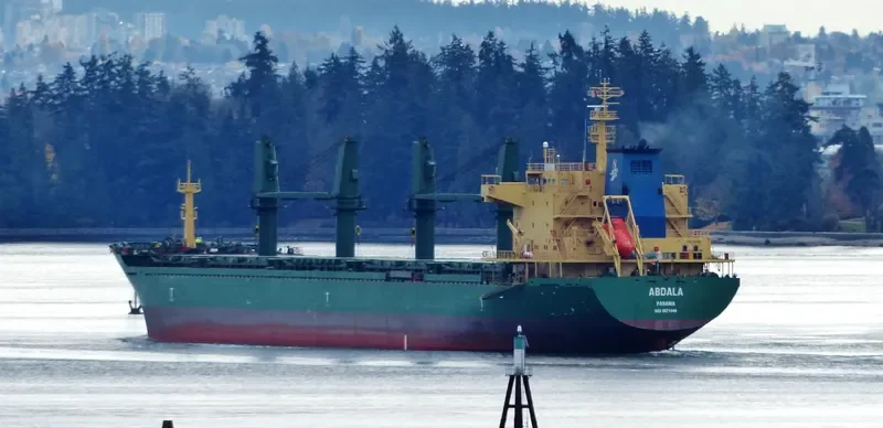 ABDALA Bulk Carrier IMO 9571040