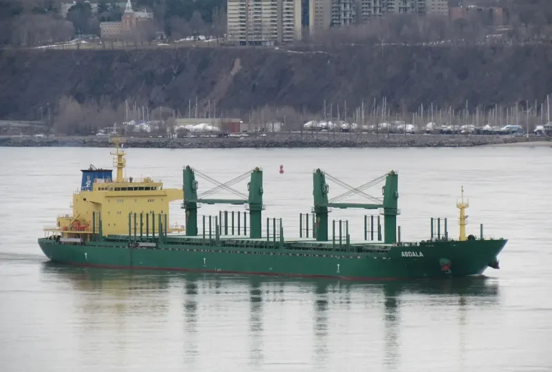 ABDALA Bulk Carrier IMO 9571040 photo 2