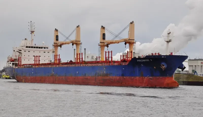 PROMISE 2 Bulk Carrier IMO 9571272 photo 2