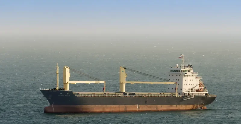 SILVER SAFETY General Cargo IMO 9571349 photo 7