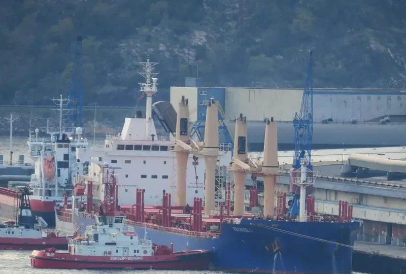 PROMISE 3 Bulk Carrier IMO 9571404