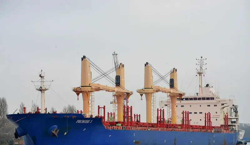 PROMISE 3 Bulk Carrier IMO 9571404 photo 3