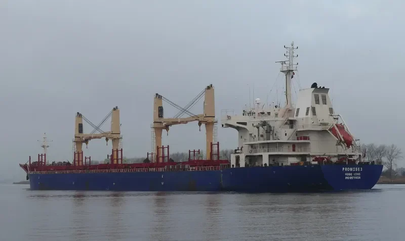 PROMISE 3 Bulk Carrier IMO 9571404 photo 7
