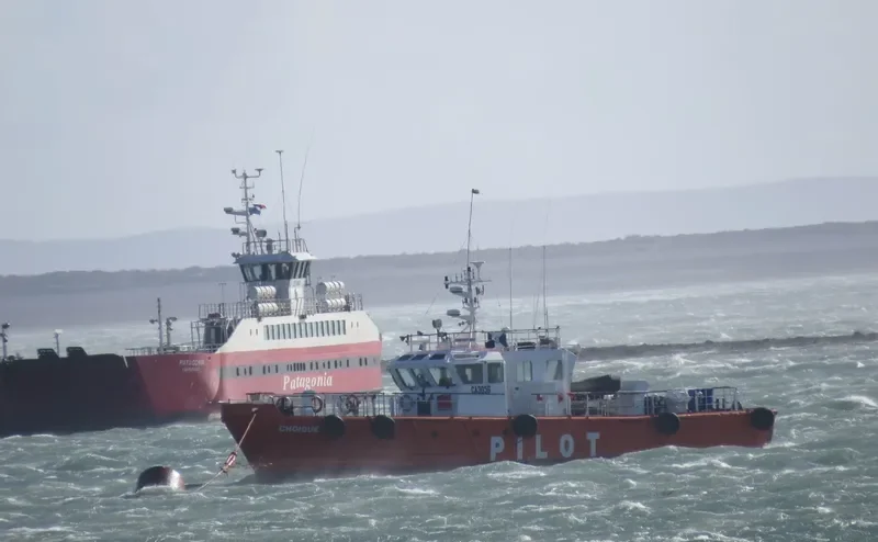 CHOIQUE General Cargo IMO 9571870 photo 2