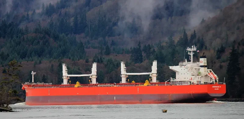 ALMAR Bulk Carrier IMO 9572070 photo 3