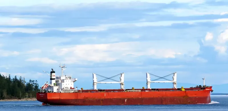 ALMAR Bulk Carrier IMO 9572070 photo 6