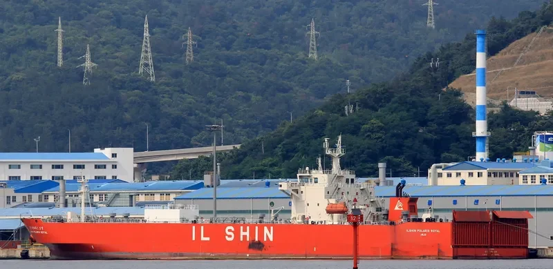 ILSHIN POLARIS ROYAL Ro-Ro IMO 9573098 photo 5