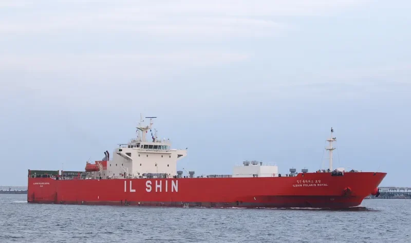 ILSHIN POLARIS ROYAL Ro-Ro IMO 9573098 photo 7