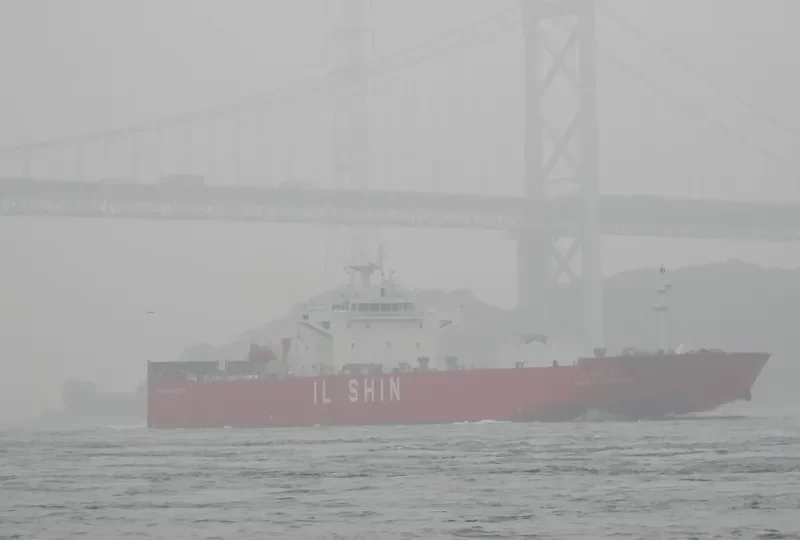 ILSHIN POLARIS ROYAL Ro-Ro IMO 9573098 photo 8