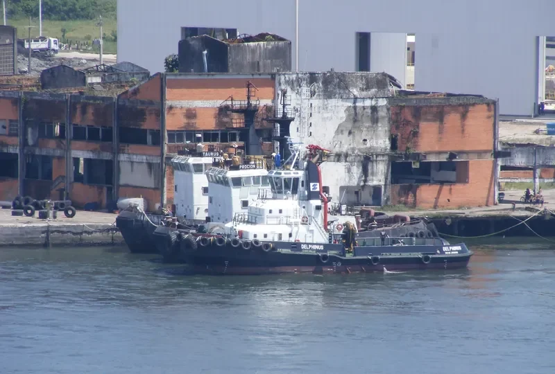 DELPHINUS General Cargo IMO 9573141 photo 2
