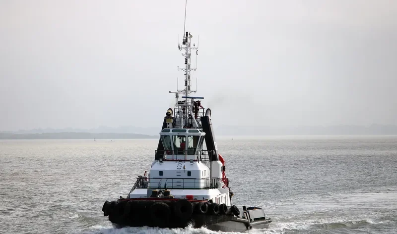 DELPHINUS General Cargo IMO 9573141 photo 4