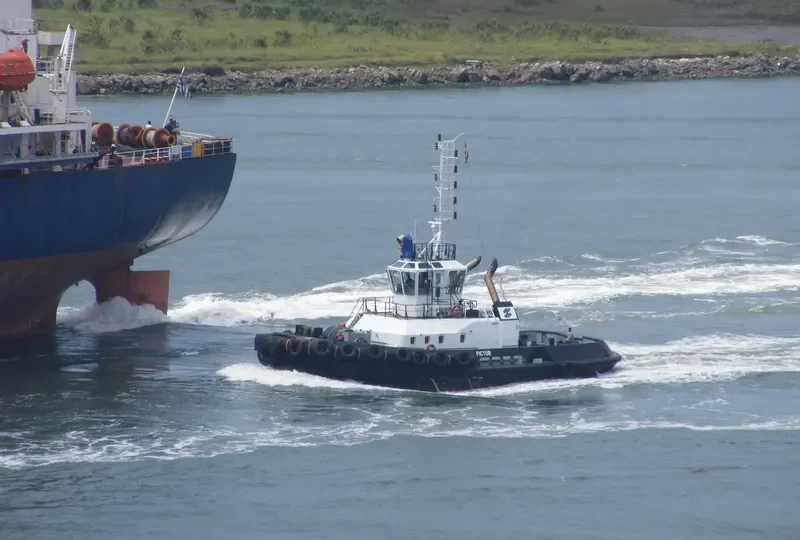 PICTOR General Cargo IMO 9573220 photo 5
