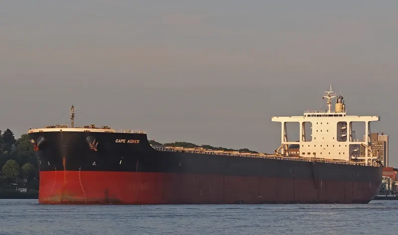 GREEN UNIVERSE Bulk Carrier IMO 9573751