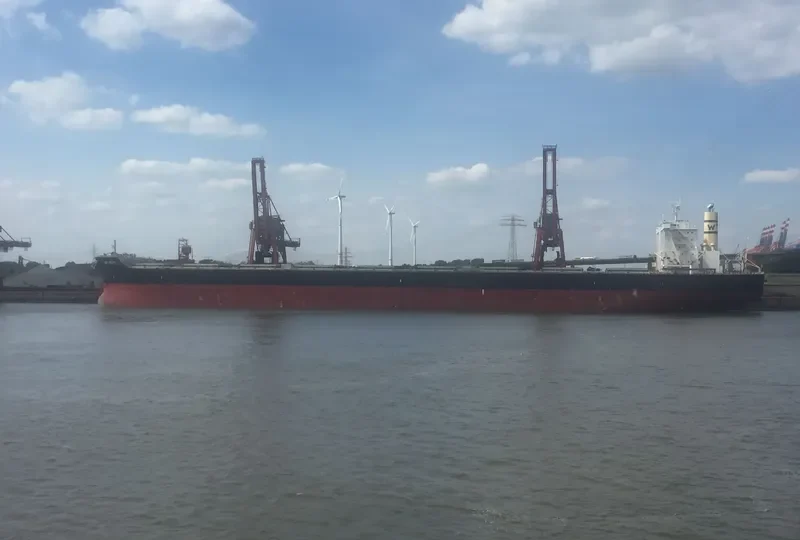 GREEN UNIVERSE Bulk Carrier IMO 9573751 photo 2