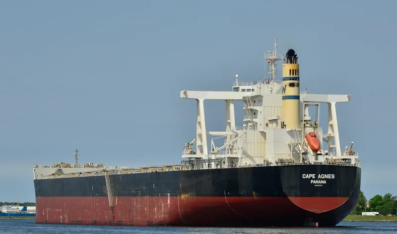 GREEN UNIVERSE Bulk Carrier IMO 9573751 photo 3