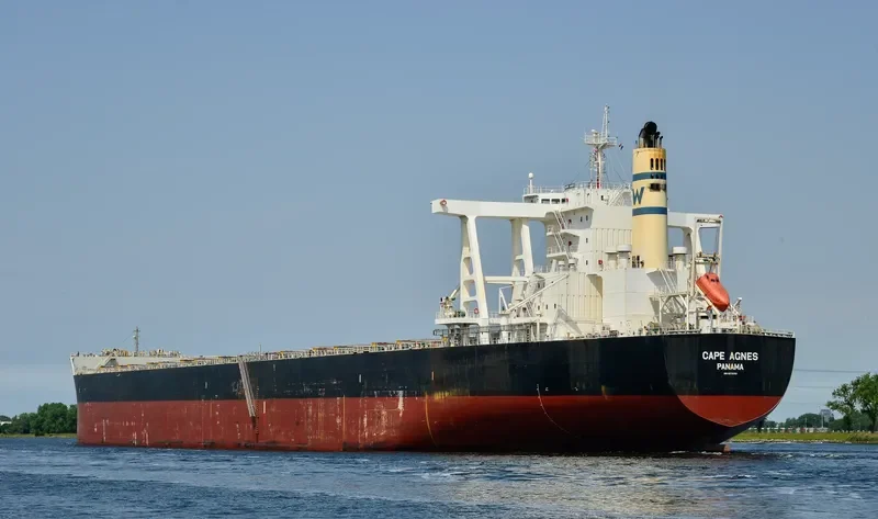 GREEN UNIVERSE Bulk Carrier IMO 9573751 photo 4