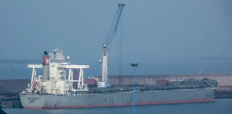 CAPE SAKURA Bulk Carrier IMO 9573763