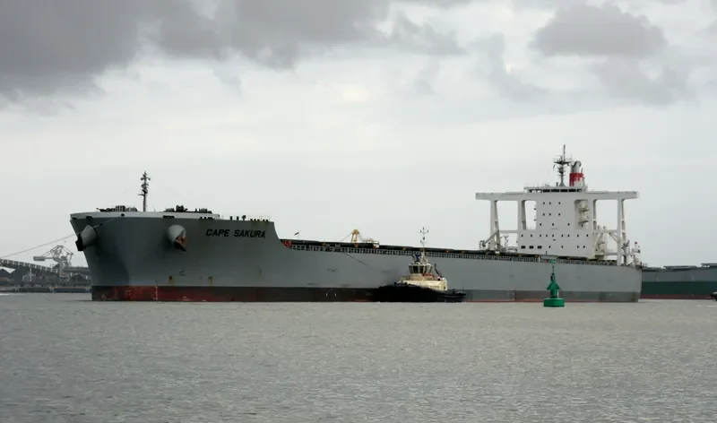 CAPE SAKURA Bulk Carrier IMO 9573763 photo 4