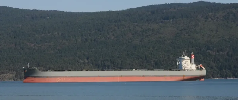 CAPE SAKURA Bulk Carrier IMO 9573763 photo 5