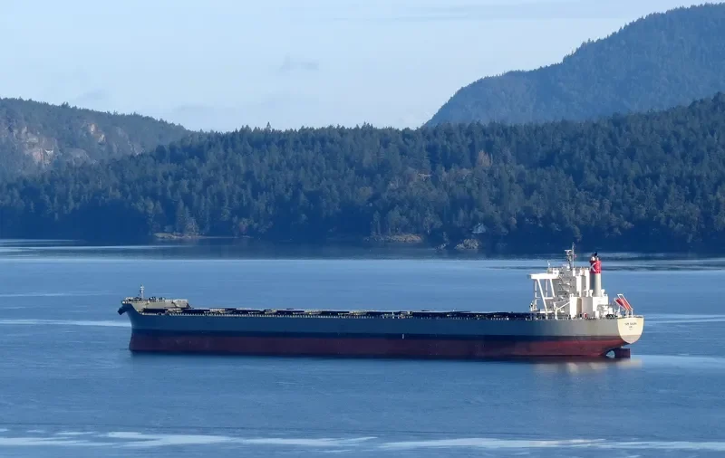 CAPE SAKURA Bulk Carrier IMO 9573763 photo 9