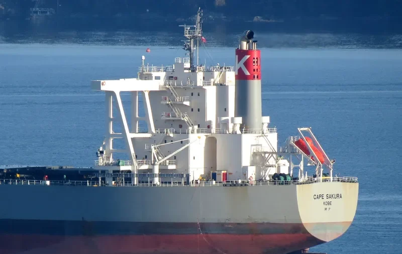 CAPE SAKURA Bulk Carrier IMO 9573763 photo 10