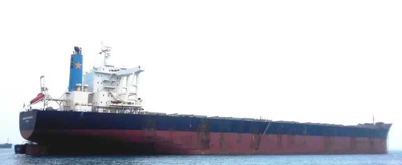 PACIFIST Bulk Carrier IMO 9573775 photo 4