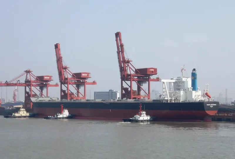PACIFIST Bulk Carrier IMO 9573775 photo 7