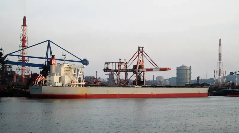 CAPE MAGNOLIA Bulk Carrier IMO 9573787 photo 6