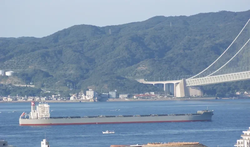 CAPE MAGNOLIA Bulk Carrier IMO 9573787 photo 8
