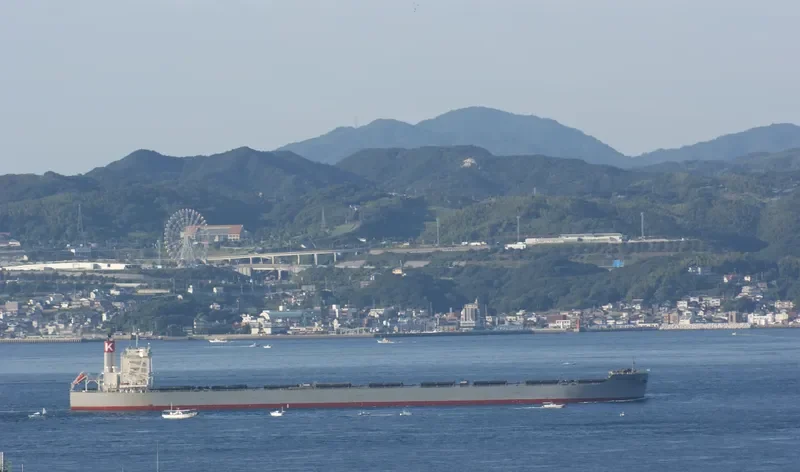 CAPE MAGNOLIA Bulk Carrier IMO 9573787 photo 10