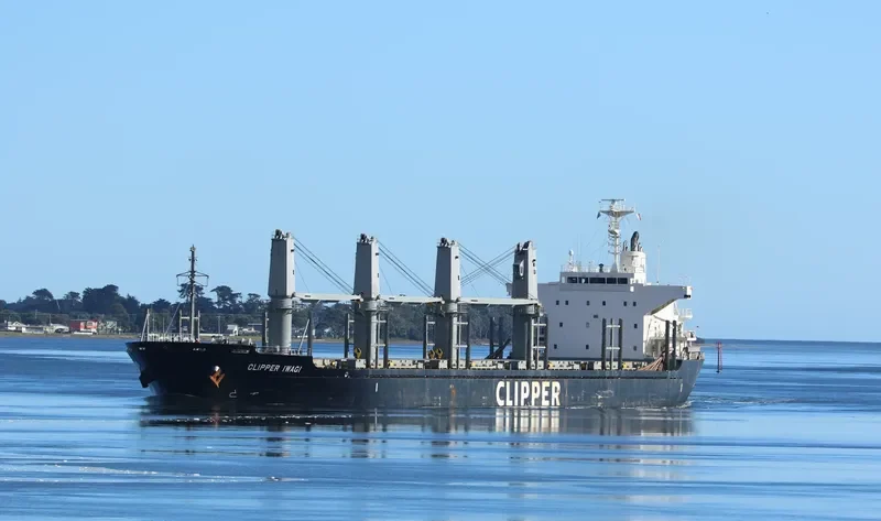 QUEEN ALESIA Bulk Carrier IMO 9573799