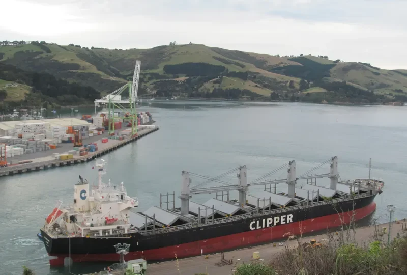 QUEEN ALESIA Bulk Carrier IMO 9573799 photo 2