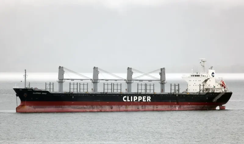 QUEEN ALESIA Bulk Carrier IMO 9573799 photo 9