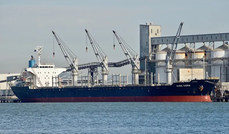 AMMOS Bulk Carrier IMO 9573804 photo 3