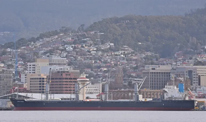 AMMOS Bulk Carrier IMO 9573804 photo 7