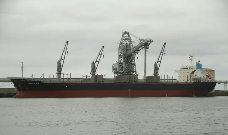AMMOS Bulk Carrier IMO 9573804 photo 9