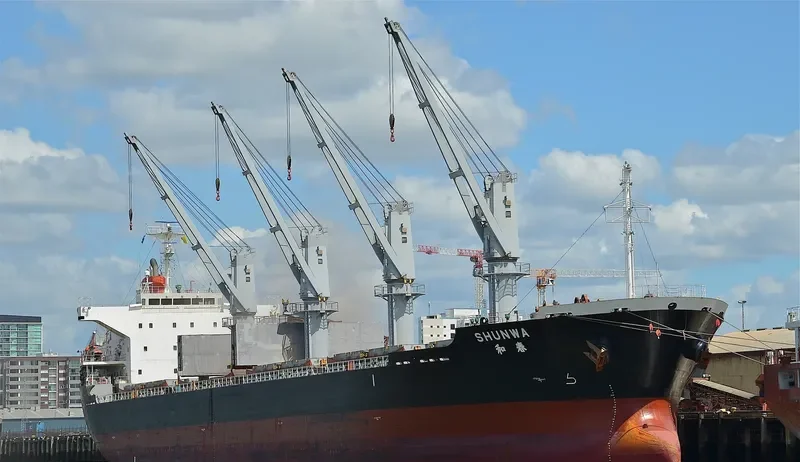 TRAMONTANA Bulk Carrier IMO 9573816 photo 6