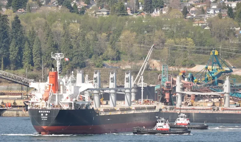 TRAMONTANA Bulk Carrier IMO 9573816 photo 10