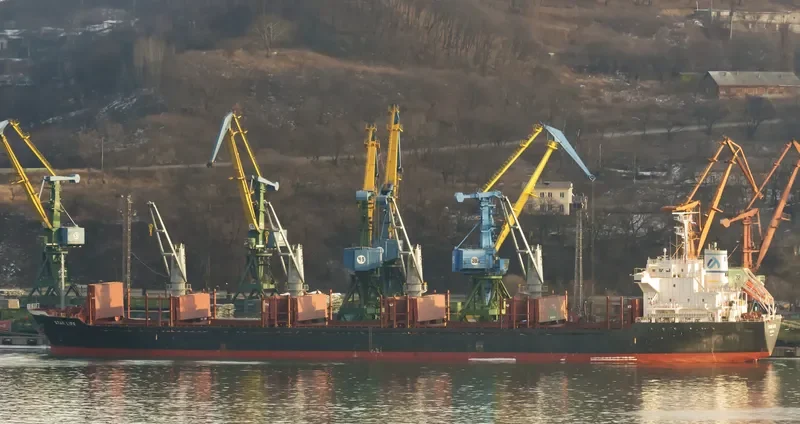 STAR LIFE Bulk Carrier IMO 9573828