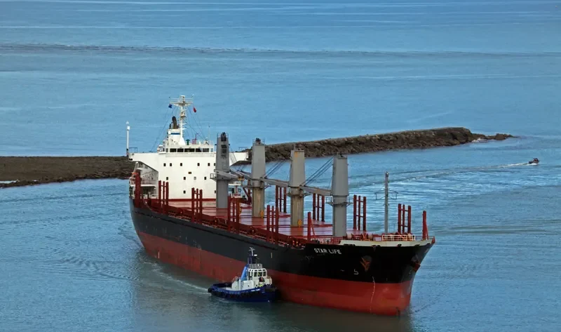 STAR LIFE Bulk Carrier IMO 9573828 photo 3